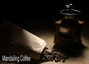 mandailing coffe41012
