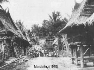 mandailing41012