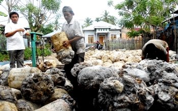 Menyusun karet Mompang Jae