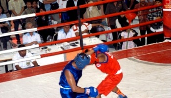 Petinju Madina Raih Perak dan Perunggu di Kejurda Sumut