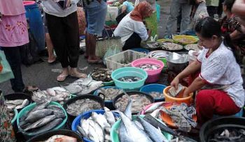 Madina Pemilik Laut, Tetapi Ikan Laut Dari Luar