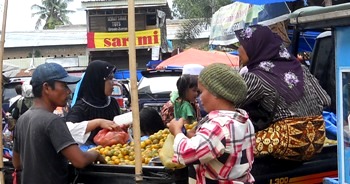 Jeruk Brastagi Masih Andalan