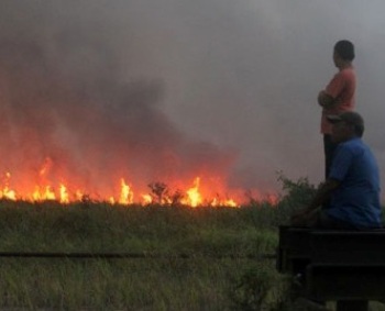 Berkas tersangka pembakar lahan dinyatakan lengkap