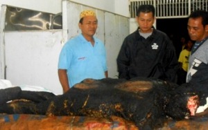 Pabrik Aspal Terbakar, Satu Tewas, Satu Rawat Inap