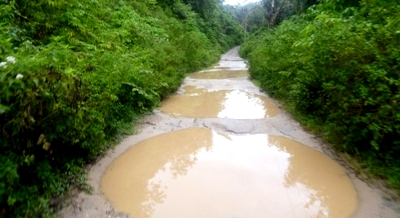 Jalan Muara Sipongi-Pakantan Kuabangan Kerbau