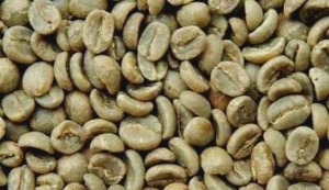 Harga Kopi Beras Masih Tinggi