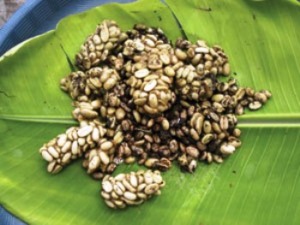 Kopi Luwak Mandailing Dipromosikan ke Jepang