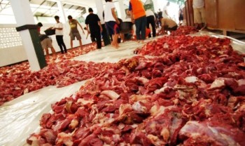 Mana Dahulukan, Akikah atau Kurban?