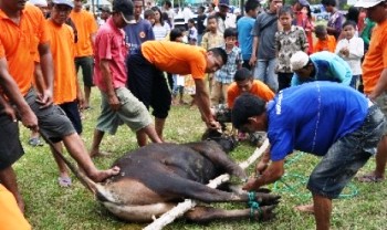 Semangat Berkurban Untuk Membangun Bangsa