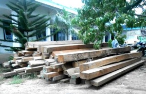 Dinas Kehutanan Sita Kayu Olahan di Lokasi PT PSU