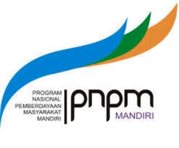 pnpm