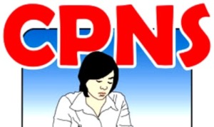 BKD Madina Belum Terima Salinan Pengumuman CPNS