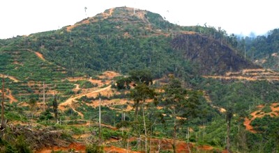 hutan Batang Natal dan Lingga Bayu