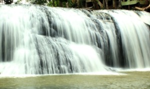 Sampuran Caroke Yang Eksotis (foto 4)