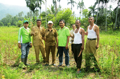 Distan Palas Panen Kedelai di Lahan Tiga Poktan