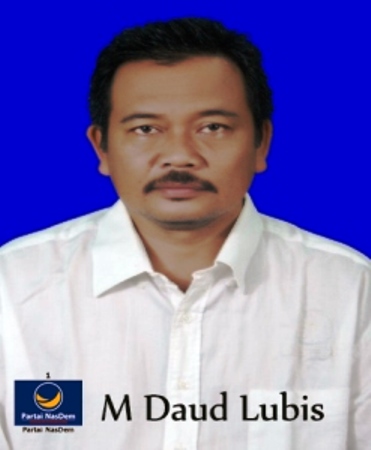 Anggota DPRD Madina Dapil I