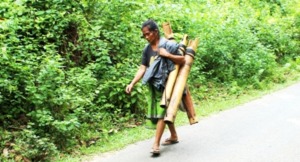 Memanggul Perigi Air Nira