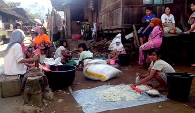 Aktifitas pengolahan kolang kaling di Hutabaringin Jae