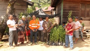 PT.SMGP Berdayakan Petani Dengan 3.500 Bibit Jeruk Manis di Puncak Sorik Marapi