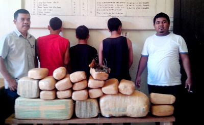 Tiga tersangka pembawa ganja di Polres Madina