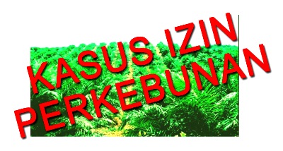 Kasus Izin Perkebunan grafis
