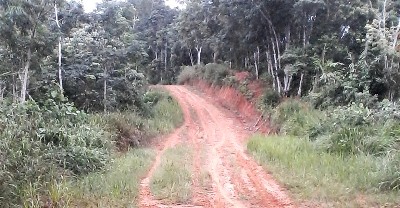 Jalan menuju 6 desa di Muara Batang Gadis