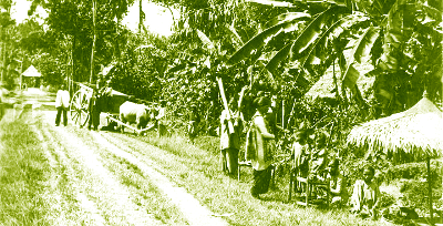 Gerakan Anti Perbudakan di Mandailing