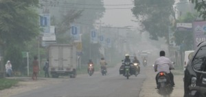 Pemkab Madina Belum Tahu Tingkat Pencemaran Asap