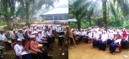 Dua Tahun Belajar di Bawah Pohon Sawit