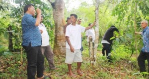 Bupati Dahlan Hasan meninjau lokasi percontohan