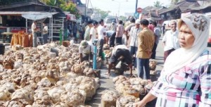 Penjualan karet di Kotanopan