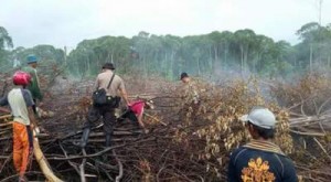 Petugas berada di lahan yang terbakar