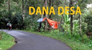 Jalan aspal ke kebun