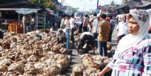 Penjualan karet di Kotanopan