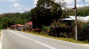 Salah satu pemukiman di Kampung Kerangai