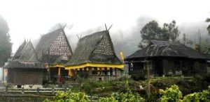 Bagas godang di Ulu Pungkut