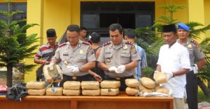 Kapaolres, wakapolres dan kasat Narkoba  Polres Madina bersama barang bukti