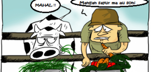 Sapi dan orang
