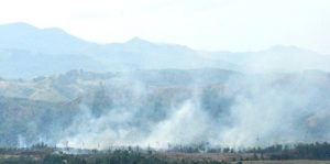 Lahan konsesi TPL di Simarsarasara yang terbakar.