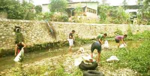 Aktivis kelompok pecinta alam Madina sedang membersihkan Sungai Aek Mata