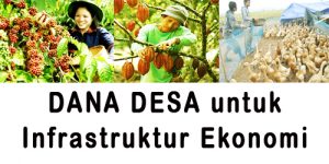 dana-desa