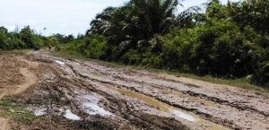 natal-batahan-titik-pardamen-baru