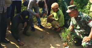 Memeriksa jejak harimau di Tambangan