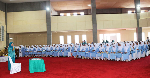 Latihan Pengelolaan Program dan Penyuluhan bagi Tim Penggerak PKK di Tapsel