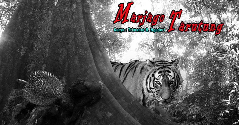 MARJAGO TARUTUNG