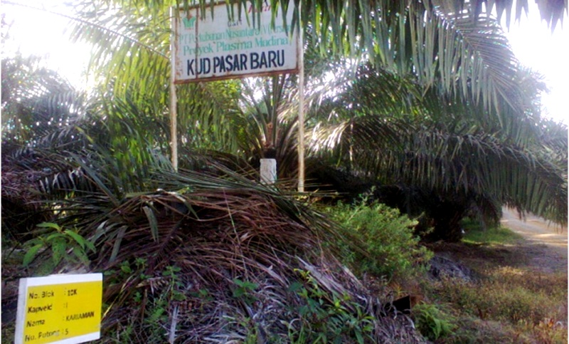 KUD Pasar Baru Batahan