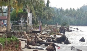 Pantai Tabuyung Abrasi 1 Kilometer