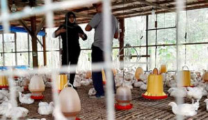 Atika dan Simpul Ekonomi Rakyat