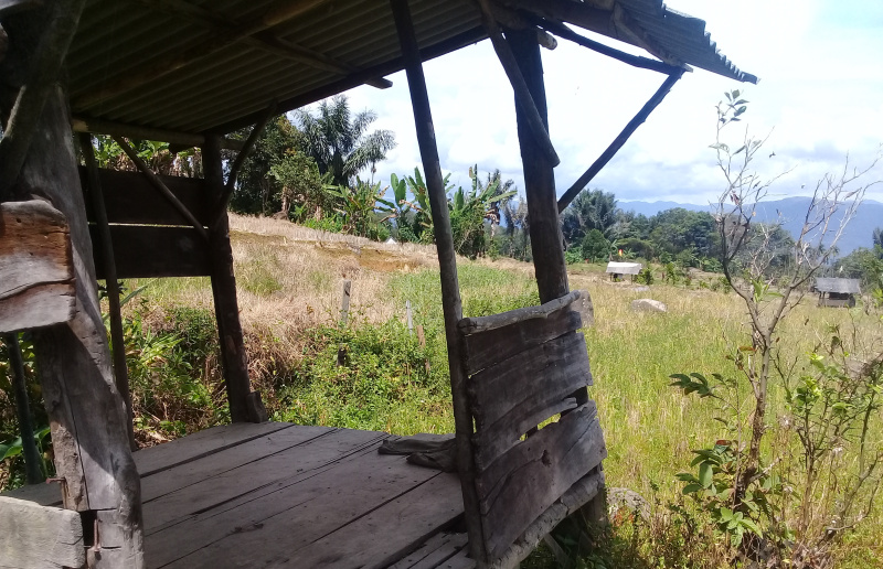 KETAKUTAN DI TANAH SENDIRI