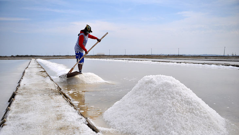 Balada Keterpaksaan Impor Garam, Sampai Kapan?